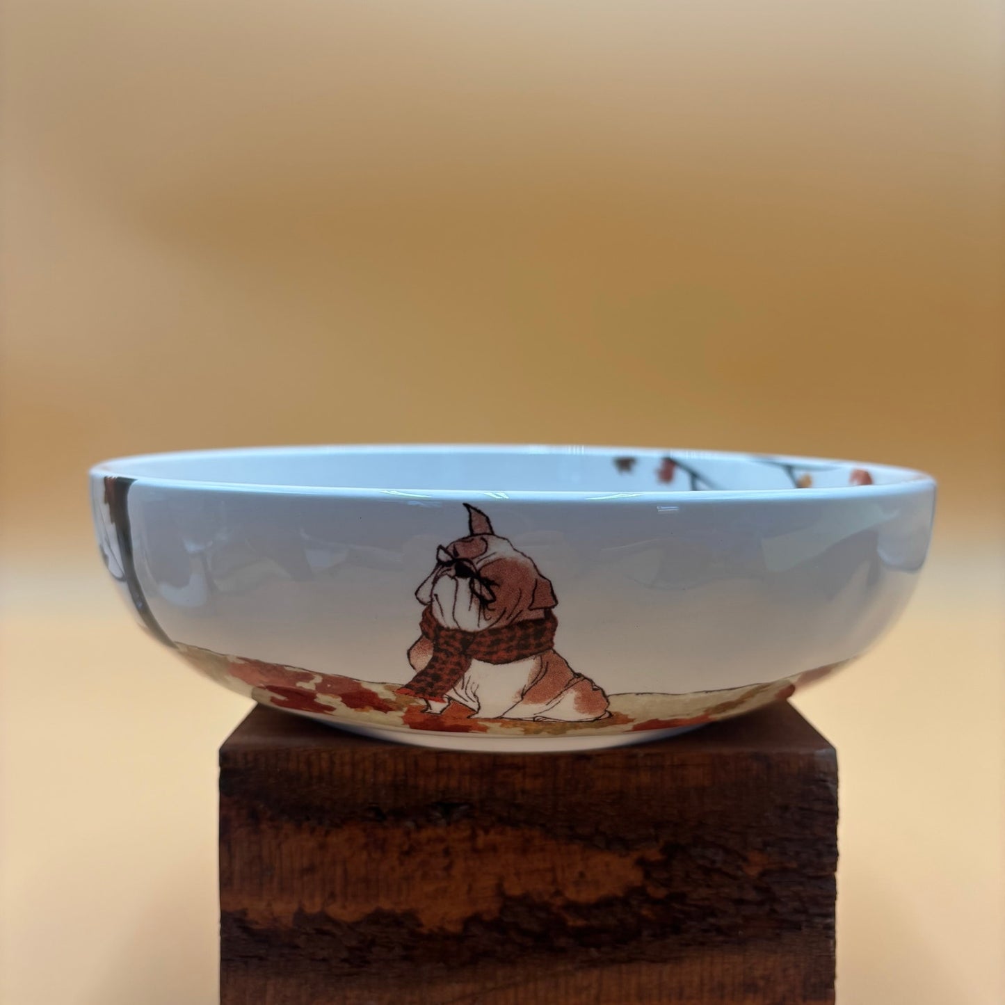 Pier 1 Imports Autumn Dogs Ironstone Bowl β Discontinued