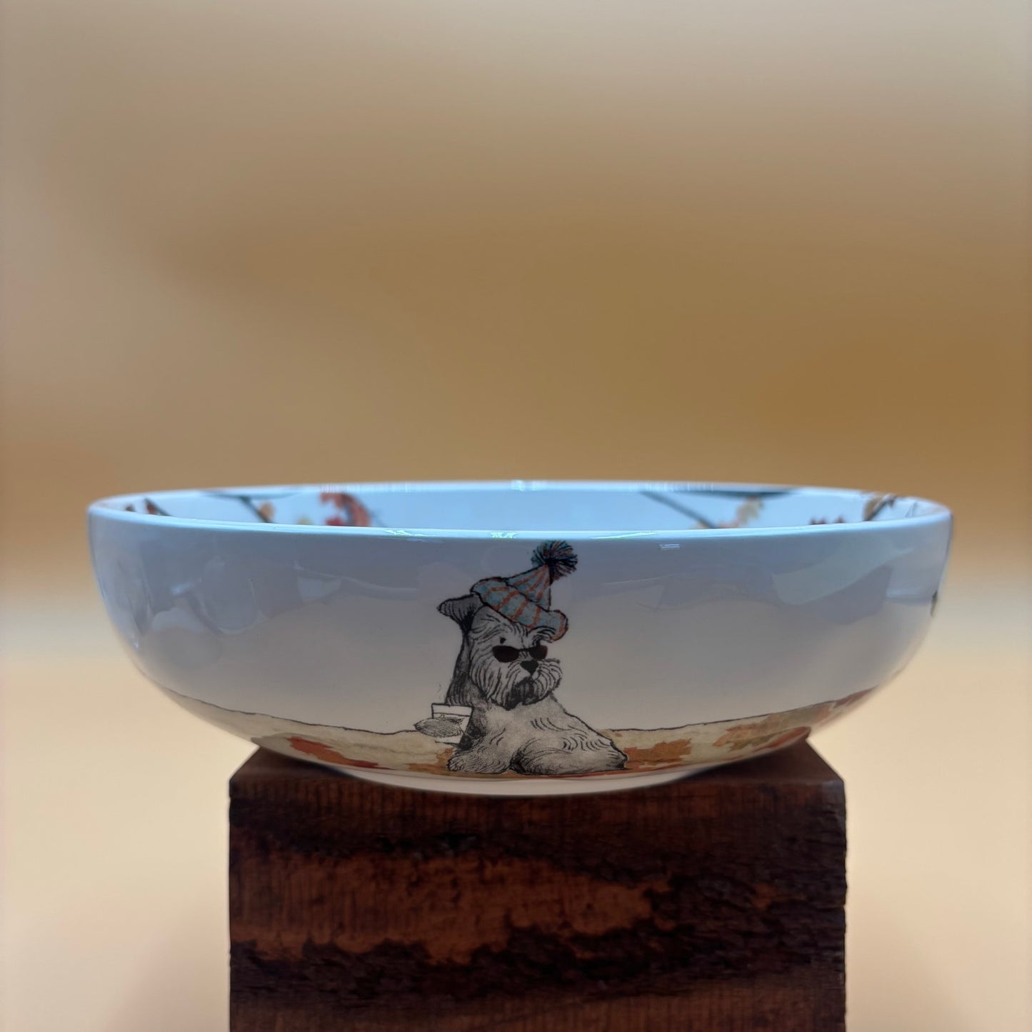 Pier 1 Imports Autumn Dogs Ironstone Bowl β Discontinued