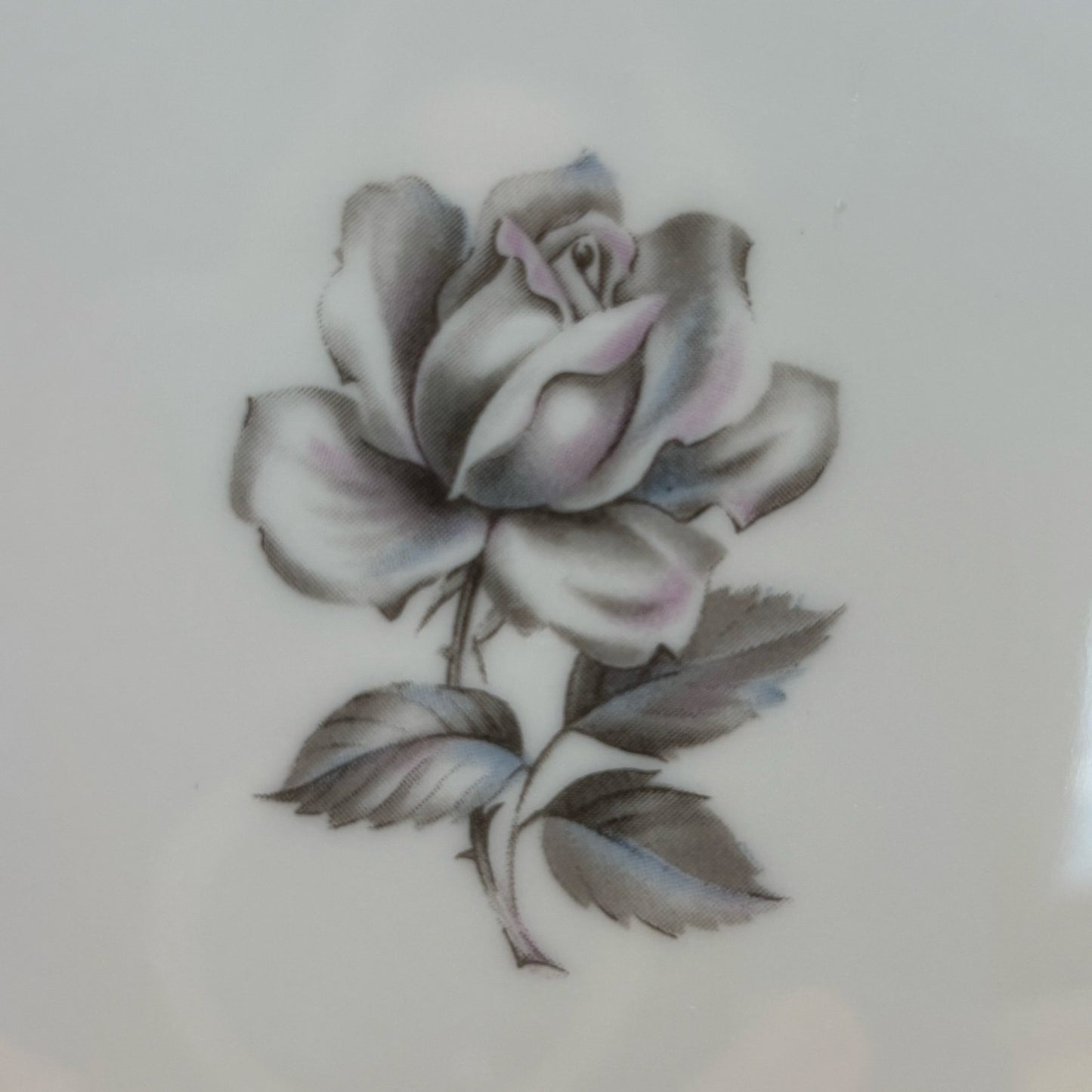 Princess China "Cameo Rose" Salad Plates - Set of 8 - Tru-Tone