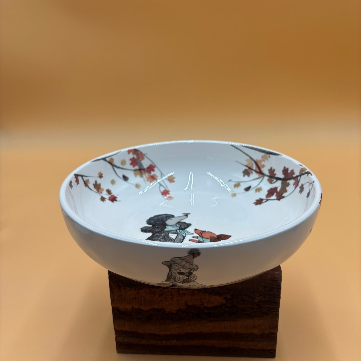 Pier 1 Imports Autumn Dogs Ironstone Bowl β Discontinued