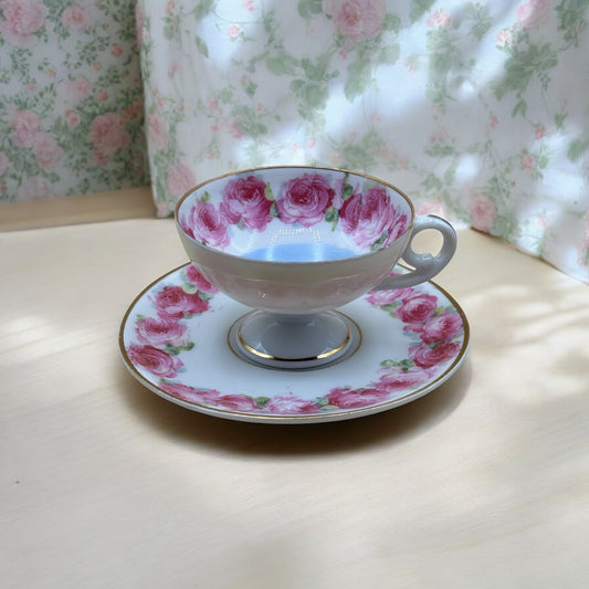 Vintage "Lychen Wohlitz Partie" Souvenir Tea Cup & Saucer with Pink Roses