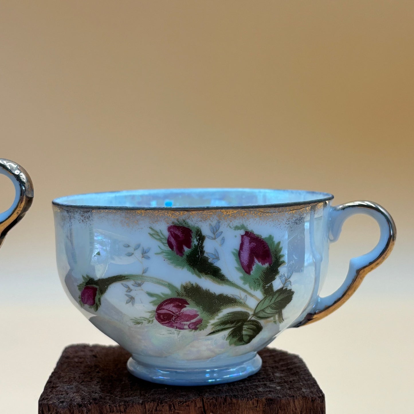 Vintage 2 Norcrest Moss Rose Bone China Teacups - Replacement Pair