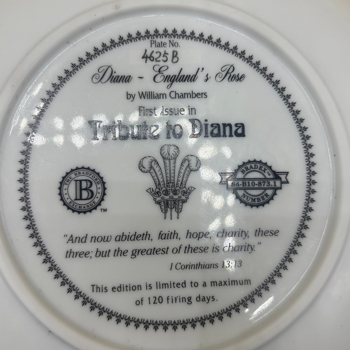 Tribute Princess Diana England's Rose Plate 1997 The Bradford Exchange