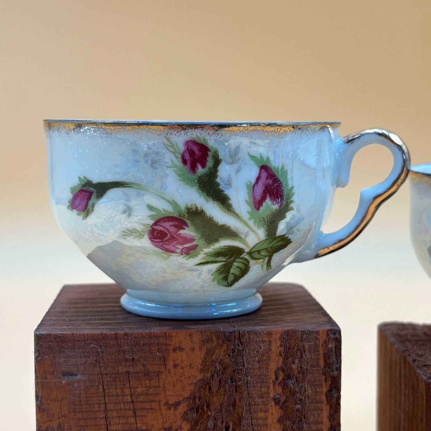 Vintage 2 Norcrest Moss Rose Bone China Teacups - Replacement Pair