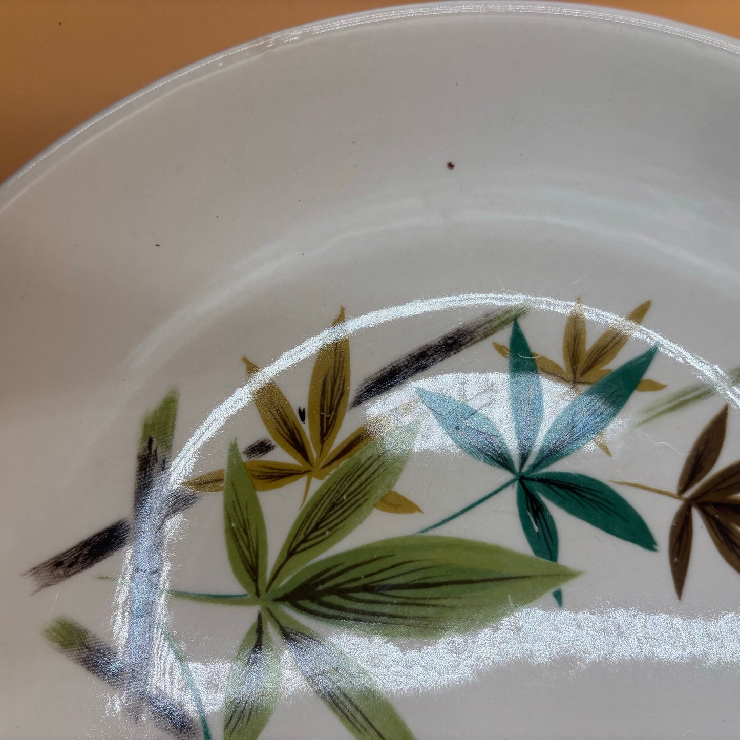8 Vintage Salem China Co. Bamboo Leaf Pattern Dinner Plates