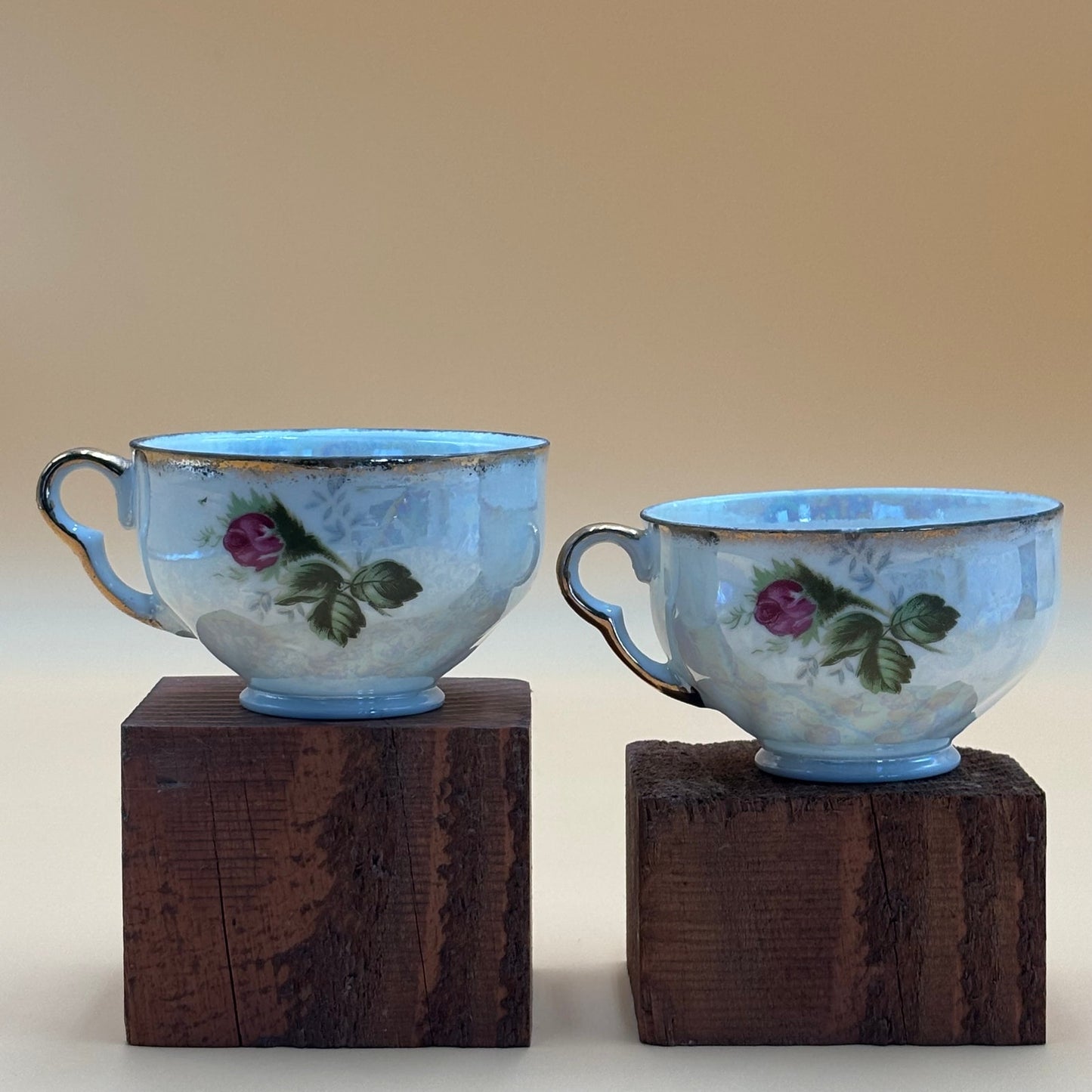Vintage 2 Norcrest Moss Rose Bone China Teacups - Replacement Pair